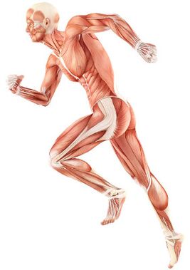 Violação da depreciação neuromuscular