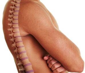 Coluna vertebral humana