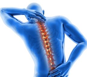 Elementos da coluna vertebral